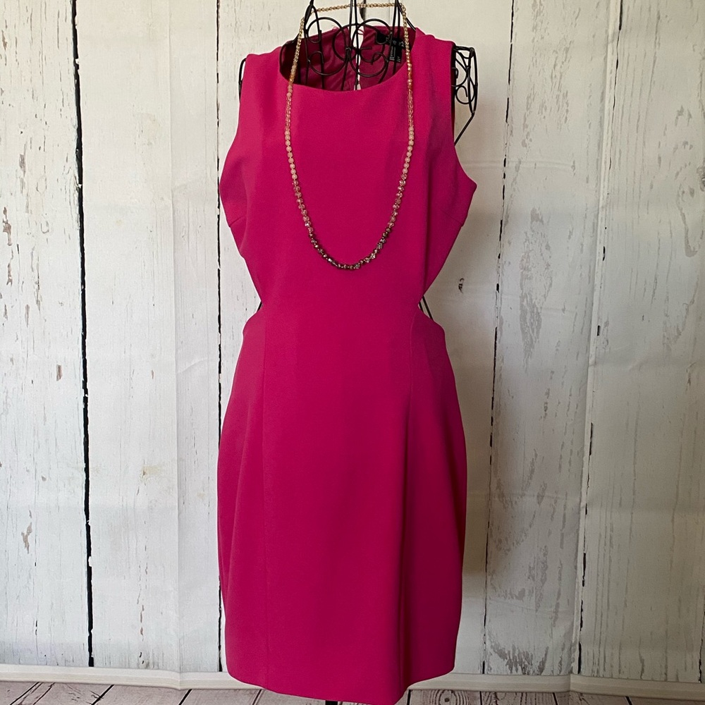 Forever 21 Fuschia Dress